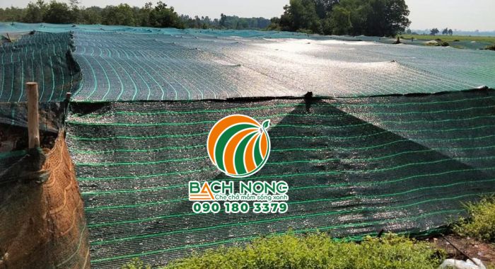 Làm nhà lưới trồng rau bằng lưới che nắng Thái Lan