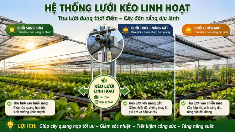 Làm hệ thống lưới che nắng di động để giúp cây đón nắng linh hoạt
