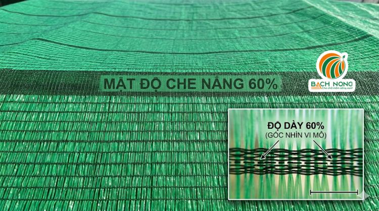 Cận cảnh mật độ lưới che nắng 60%, màu xanh Cận cảnh cấu tạo lưới che nắng 60% của Thái Lan