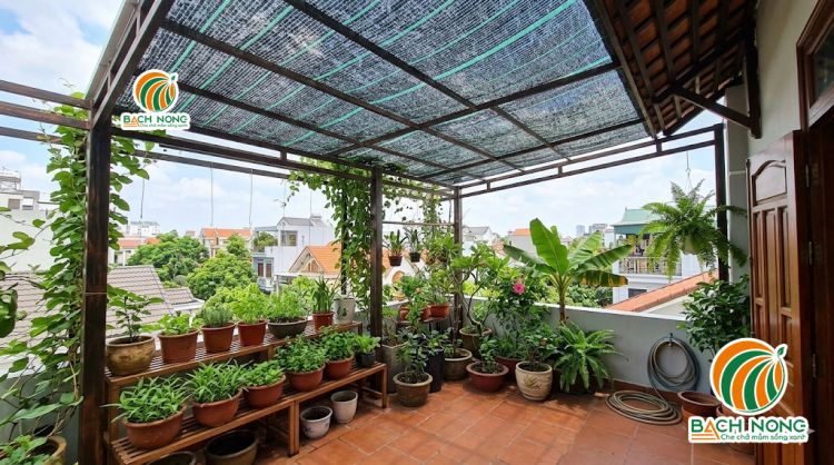 Lưới Thái Lan chuyên dụng cho sân thượng có vườn cây Sử dụng lưới che nắng Thái Lan để che sân thượng có trồng cây xanh