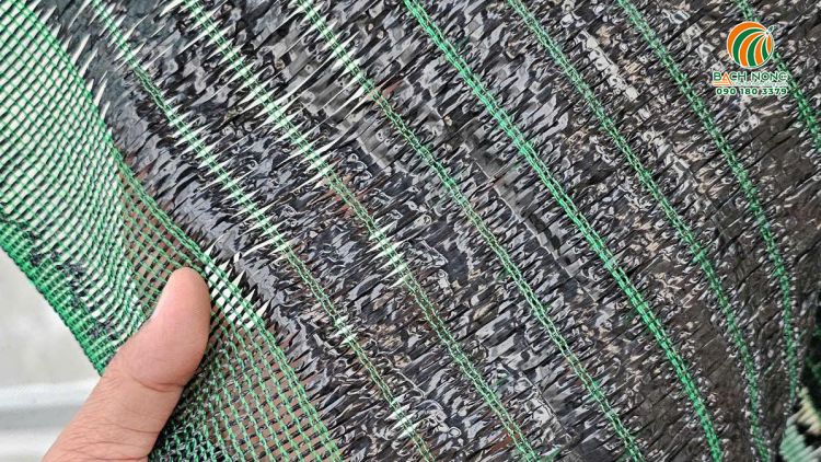 Lưới lan che nắng sản xuất tại Việt Nam