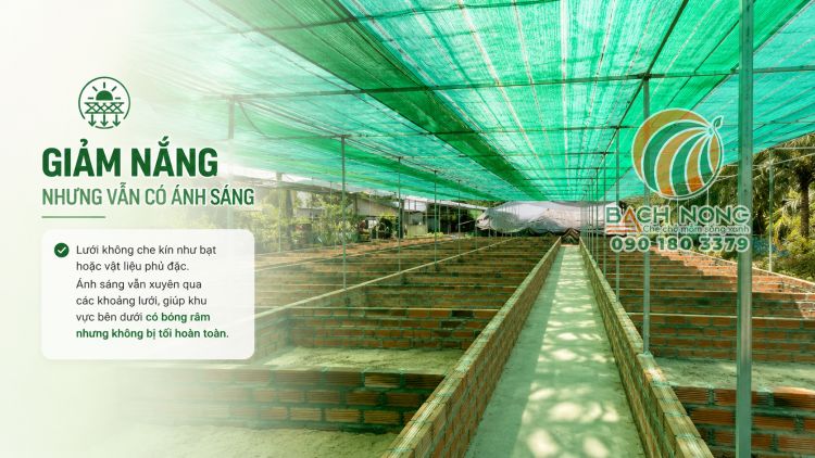Lưới xanh lá giảm nắng cho khu vực trồng cây
