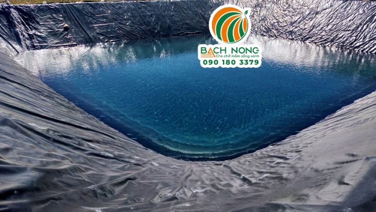 Ao nuôi cá nước ngọt bằng bạt HDPE 
