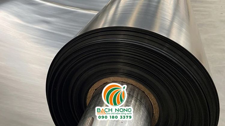 Cuộn màng chống thấm HDPE loại dày làm ao nuôi tôm