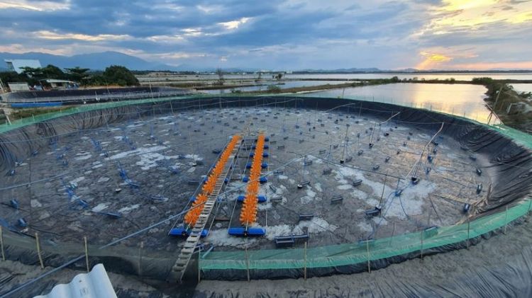 Làm ao tròn nuôi tôm bằng bạt HDPE