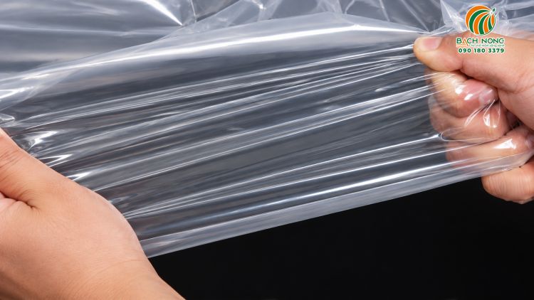 Dùng 2 tay kéo thử độ bền cơ học của màng 