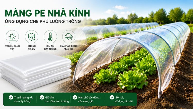 Sử dụng màng PE nhà kính làm vòm che luống trồng rau