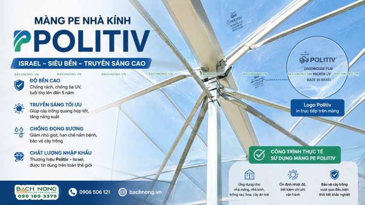 Màng PE nhà kính Politiv nhập khẩu Israel Màng PE nhà kính Politiv sử dụng cho nhà màng