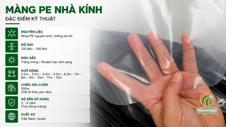 Màng PE nhà kính chống tia UV độ dày 120–150 Mic
