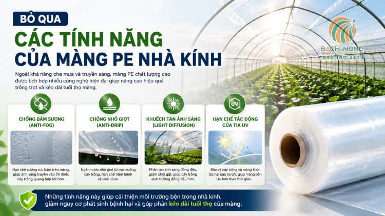 Những t&iacute;nh năng cần quan t&acirc;m khi chọn m&agrave;ng PE cho nh&agrave; k&iacute;nh