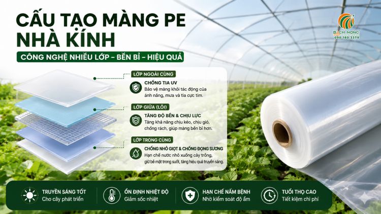 Minh họa cấu tạo màng PE nhà kính sử dụng công nghệ đồng đùn nhiều lớp (Co-extrusion) với lớp chống UV, lớp tăng độ bền và lớp chống đọng sương.