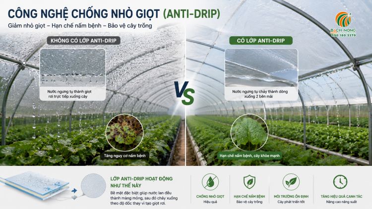 Màng PE Israel với công nghệ chống nhỏ giọt Công nghệ chống nhỏ giọt của màng PE Israel