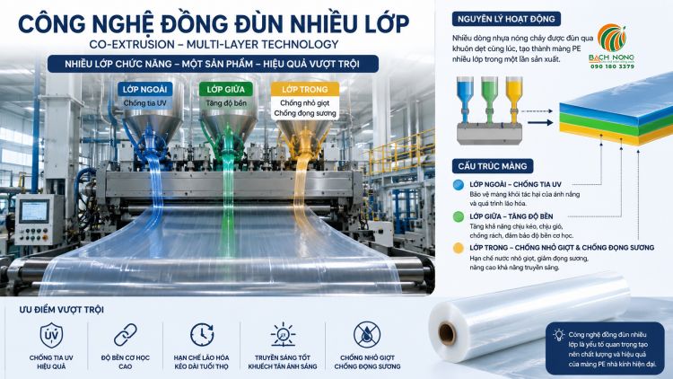 Minh họa công nghệ đồng đùn nhiều lớp (Co-extrusion) trong sản xuất màng PE nhà kính