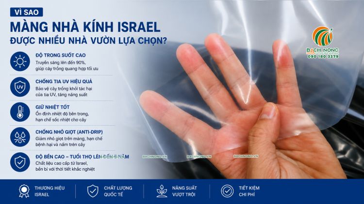 Cận cảnh màng PE Israel có độ trong cao và khả năng truyền sáng tốt