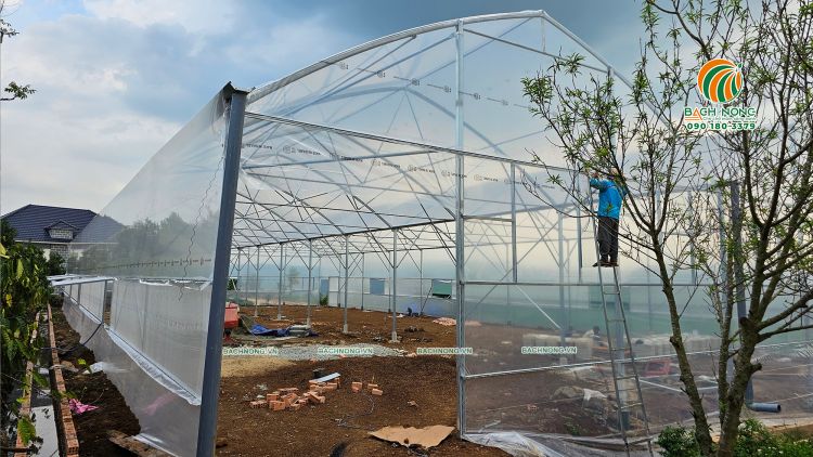 Nhà màng trồng rau Aquaponics lợp từ màng PE Israel cao cấp