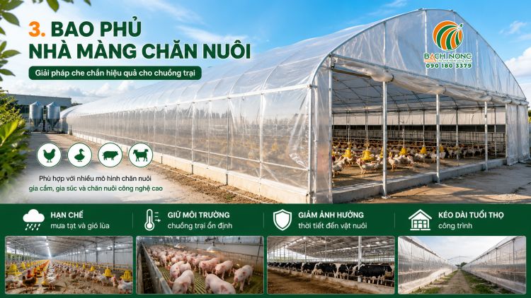 Nhà màng chăn nuôi gia cầm, gia súc được bao phủ bằng màng PE trong suốt.