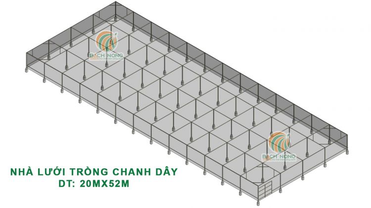 Bản vẻ tổng thể nhà lưới trồng chanh dây kích thước 20mx52m (hơn 1000m2) thể hiện cách bố trí trụ