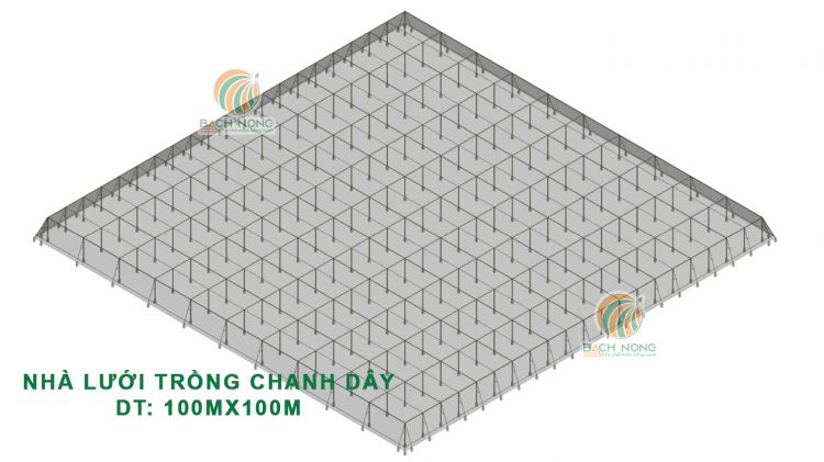 Bản vẻ tổng thể nhà lưới trồng chanh dây hình vuông kích thước 100mx100m (10000m2) thể hiện cách bố trí trụ