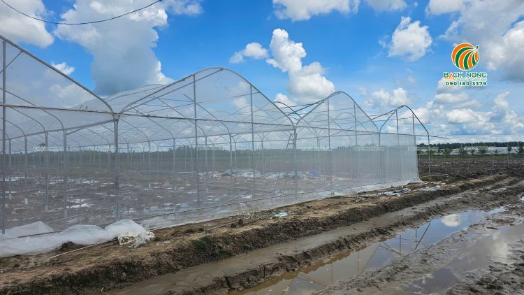 Nhìn từ bên ngoài nhà lưới mái vòm thấy rõ phần đỉnh cao giúp thông thoáng