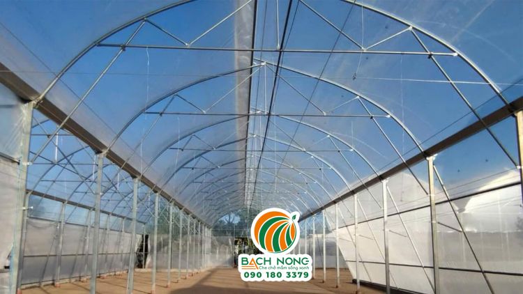 Bên trong nhà màng 1 mái hở (mái lệch) sau khi thi công xong