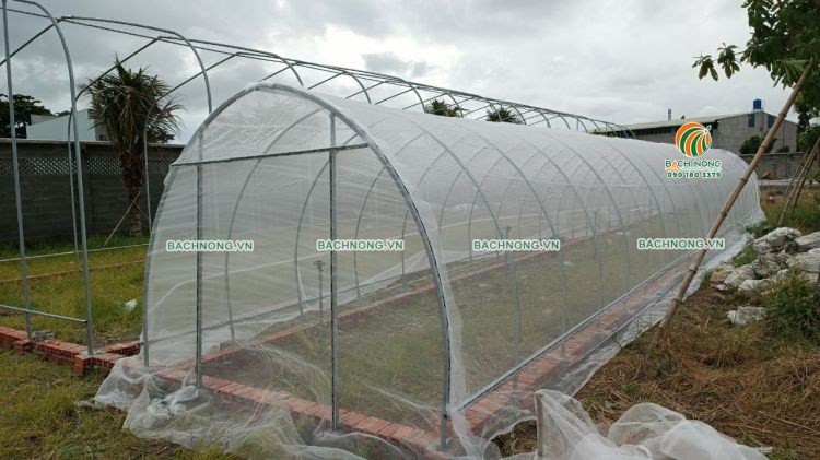 Bộ nhà lưới lắp ráp BANO thực tế kích thước 6x20m