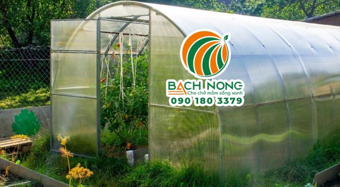 Bố trí cửa ra vào cho nhà kính