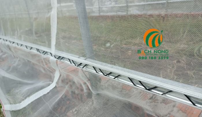 Sử dụng lưới chắn côn trùng cho nhà màng để lưu thông không khí tự nhiên