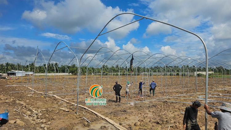Thi công khung sườn nhà lưới Công nhân đang thi công phần khung của nhà lưới