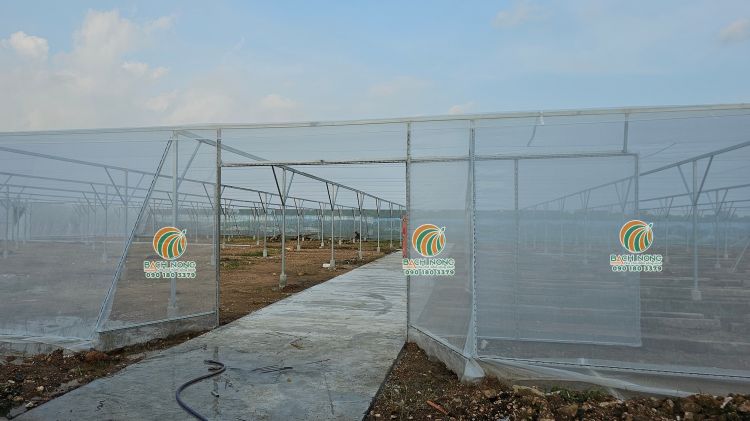 Thiết kế cửa lùa cho nhà lưới trồng rau mái bằng
