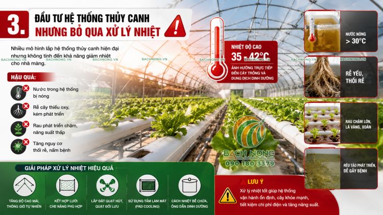 Hệ thống thủy canh trong nhà màng bị nóng do thiếu giải pháp giảm nhiệt Sai lầm khi đầu tư hệ thống thủy canh nhưng bỏ qua xử lý nhiệt cho nhà màng