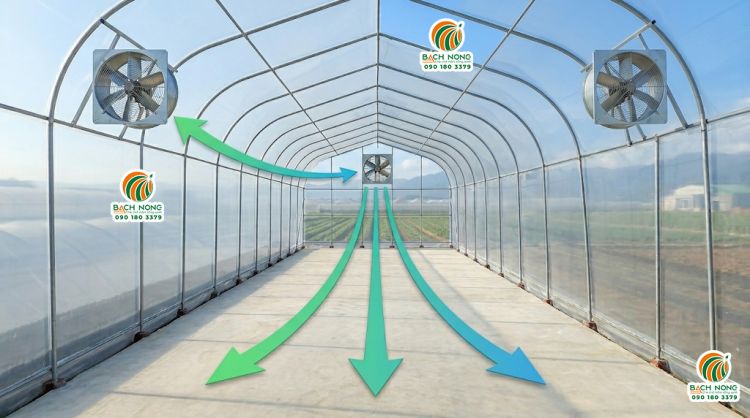 Toàn cảnh hệ thống quạt thông gió bên trong nhà kính phơi sấy nông sản hiện đại