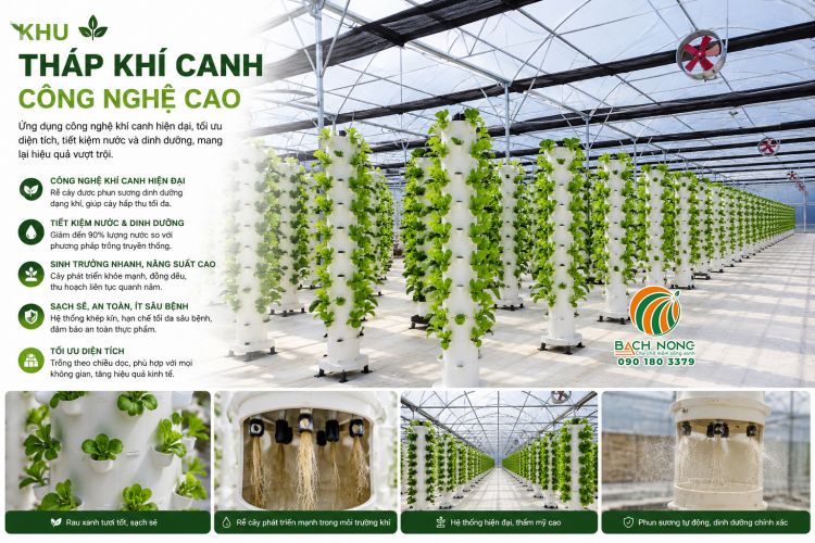 Khu vực trồng rau khí canh công nghệ cao của nhà kính