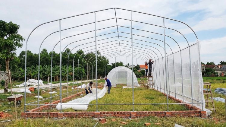 Khung sắt nhà lưới mái vòm cong