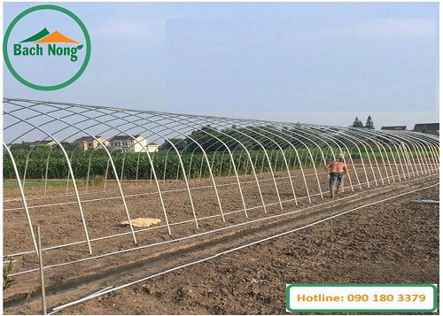 Bố trí khung sắt chống rỉ cho nhà lưới tự lắp