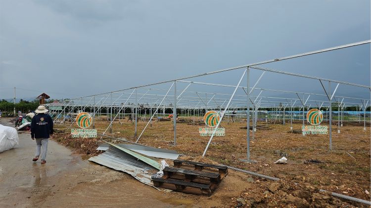 Thi công phần khung sắt cho nhà lưới mái bằng trồng rau sạch