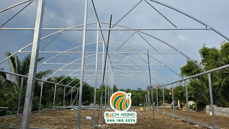 Kết cấu khung sườn của nhà vòm đơn trồng rau bằng thép chống rỉ