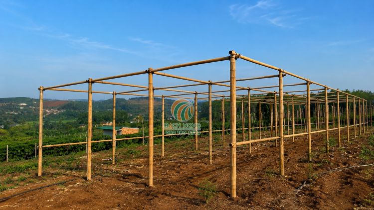 Dùng các thanh tre liên kết toàn bộ hệ cột lại thành bộ khung chắc chắn