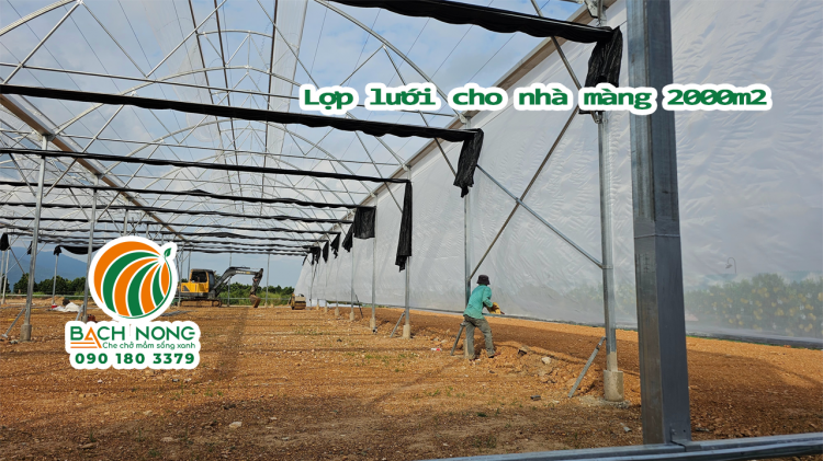 Công nhân lợp lưới chắn côn trùng cho nhà màng 