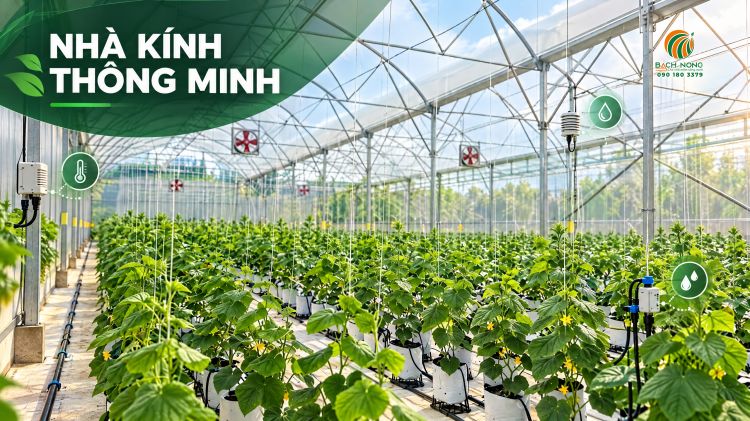 Mô hình nhà kính thông minh trồng dưa lưới với các hệ thống điều khiển tự động