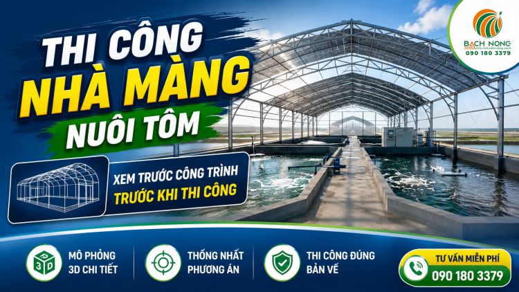 Bách Nông lên thiết kế 3D cho khách hàng trước khi thi công