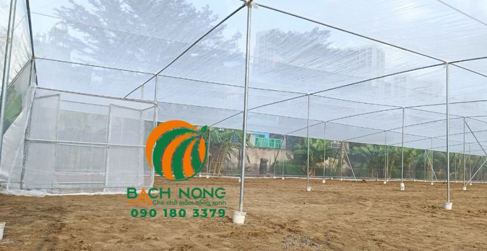 Hình ảnh nhà lưới trồng rau sạch diện tích 1000m2 ở quận 9 TP HCM
