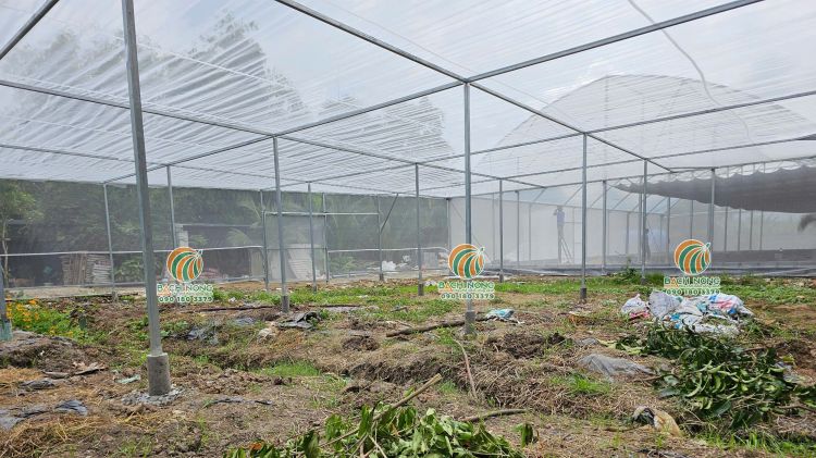 Nhà lưới trồng rau 300m2 tại Bình Chánh với thiết kế mái bằng và khung sắt chắc chắn