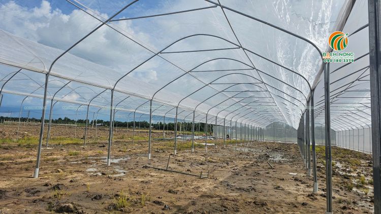 Nhà lưới mái vòm nhiều nhịp liên tiếp nhau diện tích 15000 m2