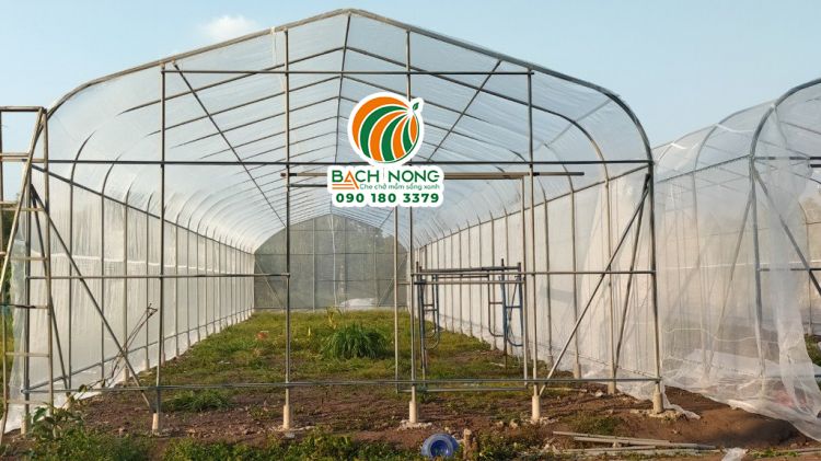 Nhà lưới mái vòm trồng rau chịu gió tốt