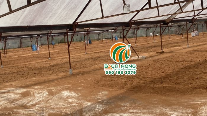Nền nhà màng được đổ bê tông chắc chắn, sạch sẽ
