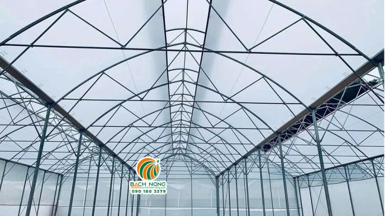 Cận cảnh bên trong của nhà màng mái hở