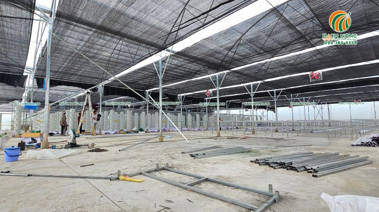 Phần nhà màng thủy canh do Bách Nông thi công