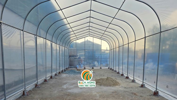 Nhà màng mái vòm đơn chịu lực tốt trước gió mạnh
