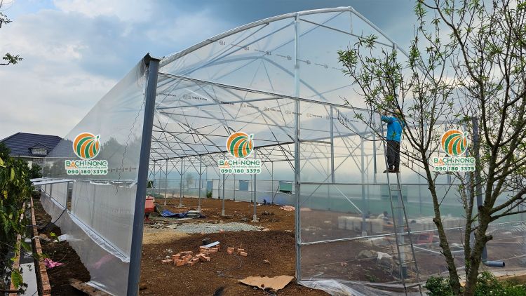 Thi công dự án nhà kính mái vòm trồng rau Aquaponics tại Lâm Đồng