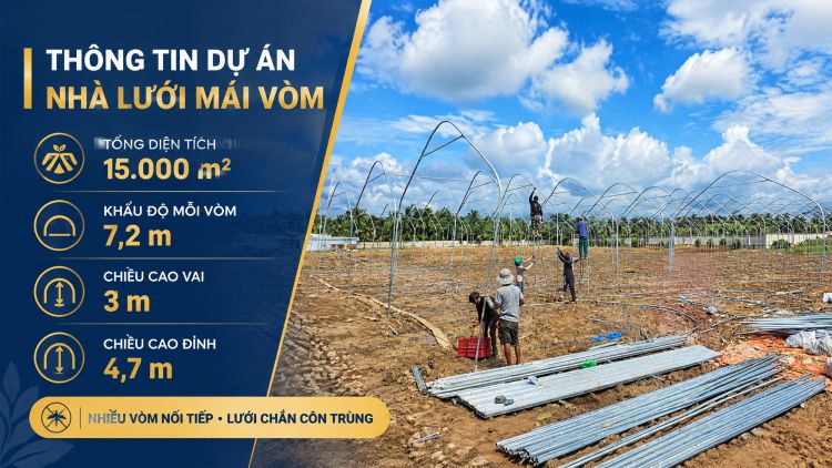 Thông tin dự án nhà lưới tại Trà Vinh Thông tin kích thước và cấu tạo của nhà lưới mái vòm trồng rau tại Trà Vinh